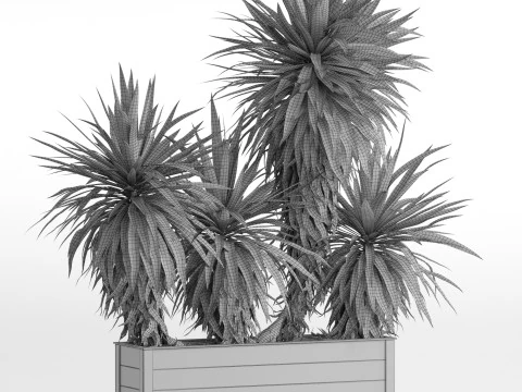 Plants collection 750 3D Model