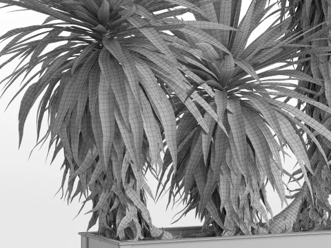Plants collection 750 3D Model