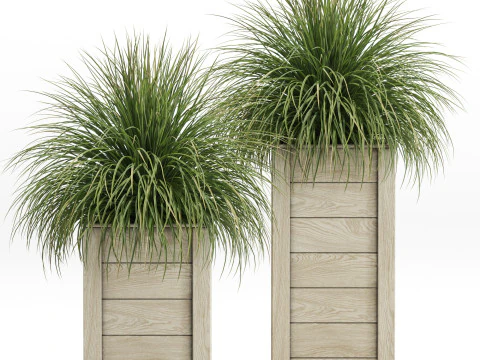 Collection de plantes 751 Modèle 3D