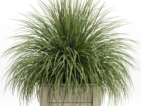 Plants collection 751 3D Model
