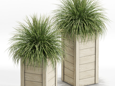 Plants collection 751 3D Model