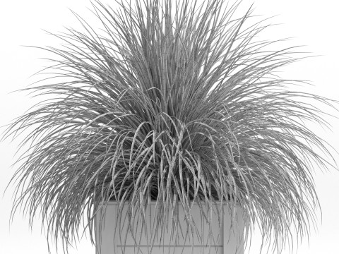Plants collection 751 3D Model