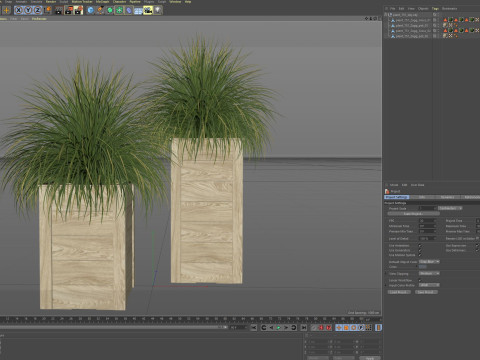 Plants collection 751 3D Model