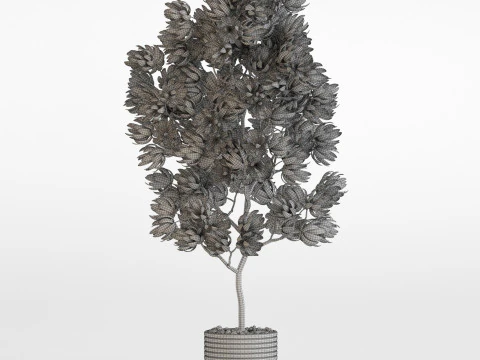 Plants collection 752 3D Model
