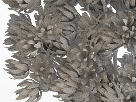 Plants collection 752 Model 3D