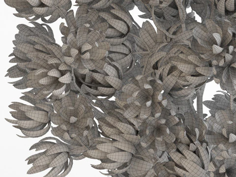 Plants collection 752 3D Model