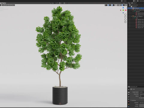 Plants collection 752 3D Model