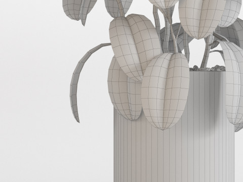 Plants collection 753 Modelo 3D