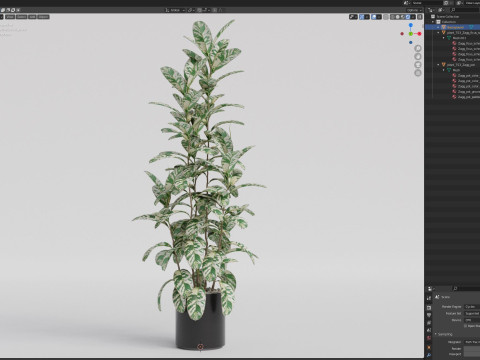 Plants collection 753 Modelo 3D