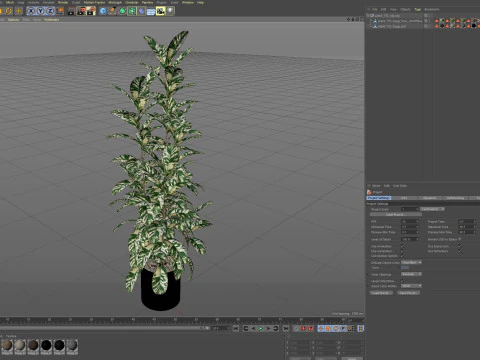 Plants collection 753 3D Model