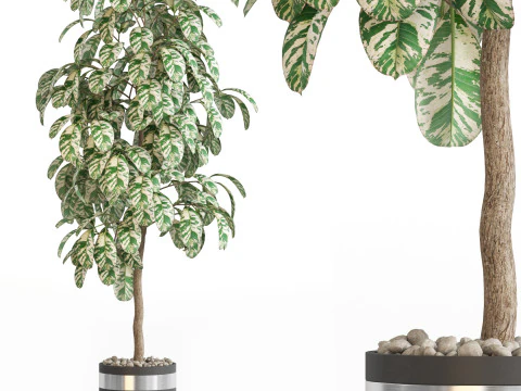 पौधों का संग्रह 754 3D मॉडल