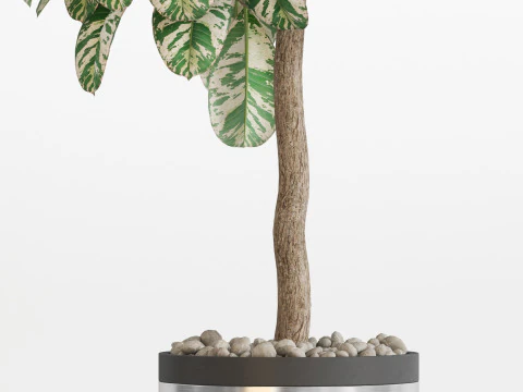 पौधों का संग्रह 754 3D मॉडल