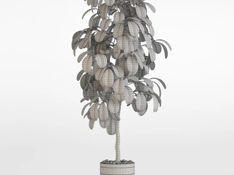 पौधों का संग्रह 754 3D मॉडल