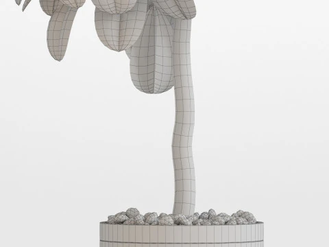 पौधों का संग्रह 754 3D मॉडल