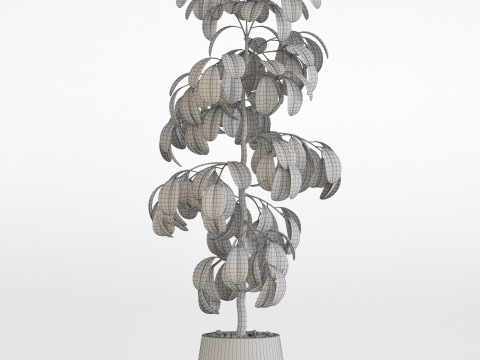 Plants collection 755 3D-Modell