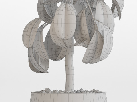 Plants collection 755 3D-Modell