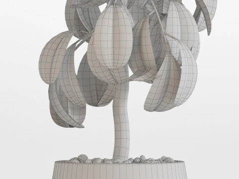 Plants collection 755 3D Model