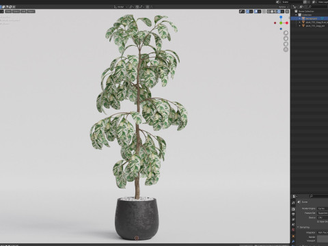 Plants collection 755 3D-Modell