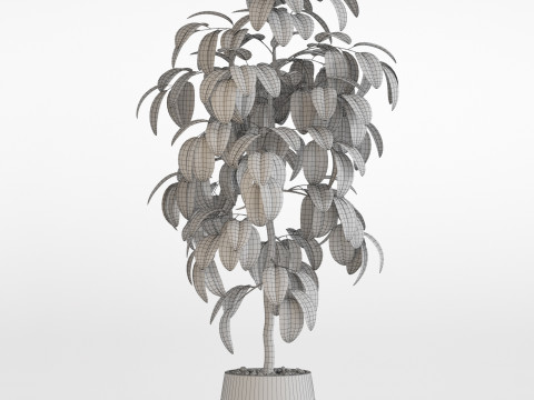 Plants collection 756 3D Модель