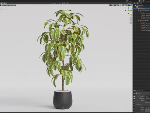 Plants collection 756 3D Model
