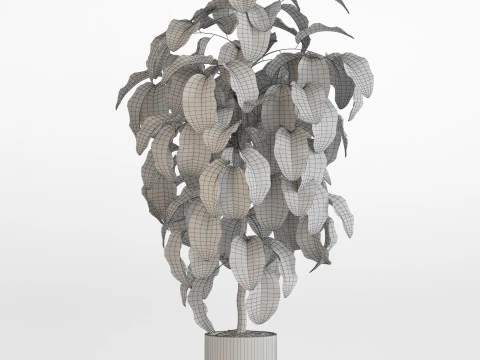 Plants collection 757 3D Model