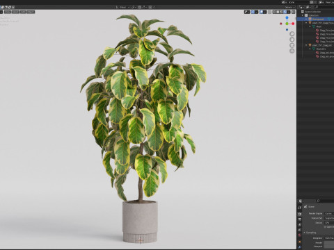 Plants collection 757 3D मॉडल