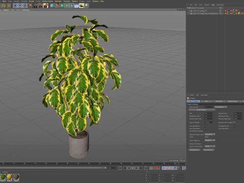 Plants collection 757 3D Model