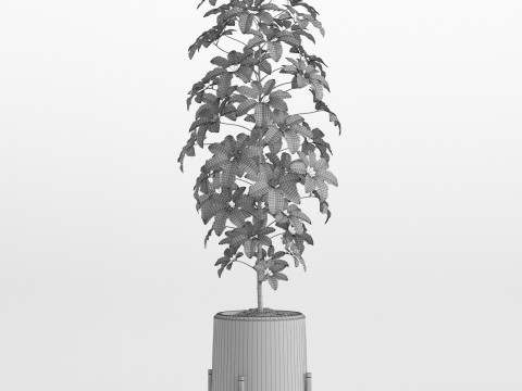 Plants collection 758 3Dモデル