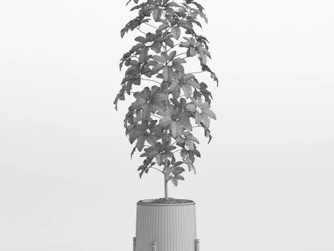 Plants collection 758 3D Model