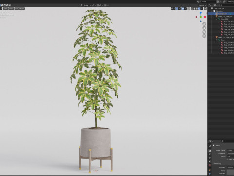Plants collection 758 3Dモデル