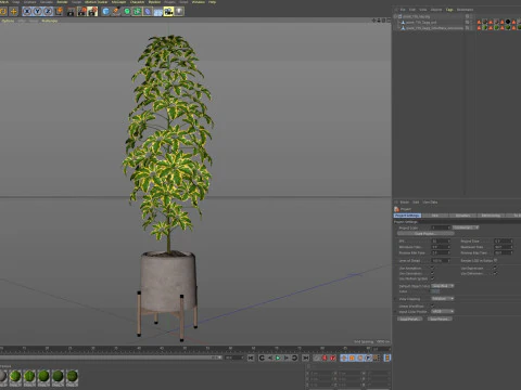 Plants collection 758 3D Model