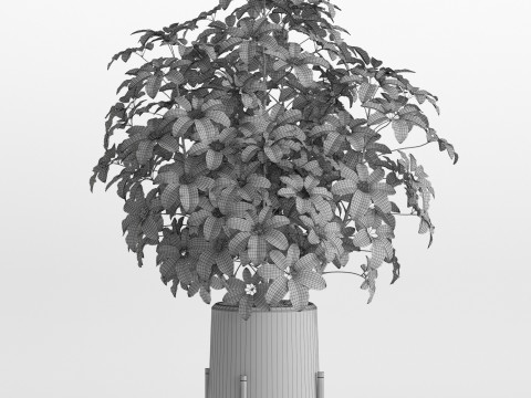 Plants collection 759 Model 3D