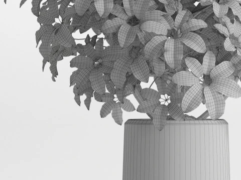 Plants collection 759 3D Model
