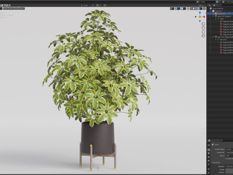 Plants collection 759 Model 3D