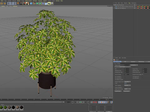 Plants collection 759 3D Model