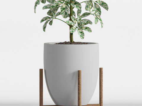 Plants collection 760 3D Model