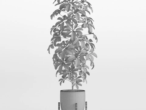 Plants collection 760 3D Model