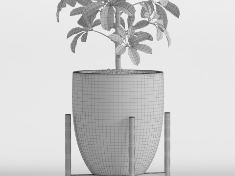 Plants collection 760 Modelo 3D
