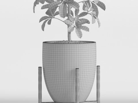 Plants collection 760 3D Model