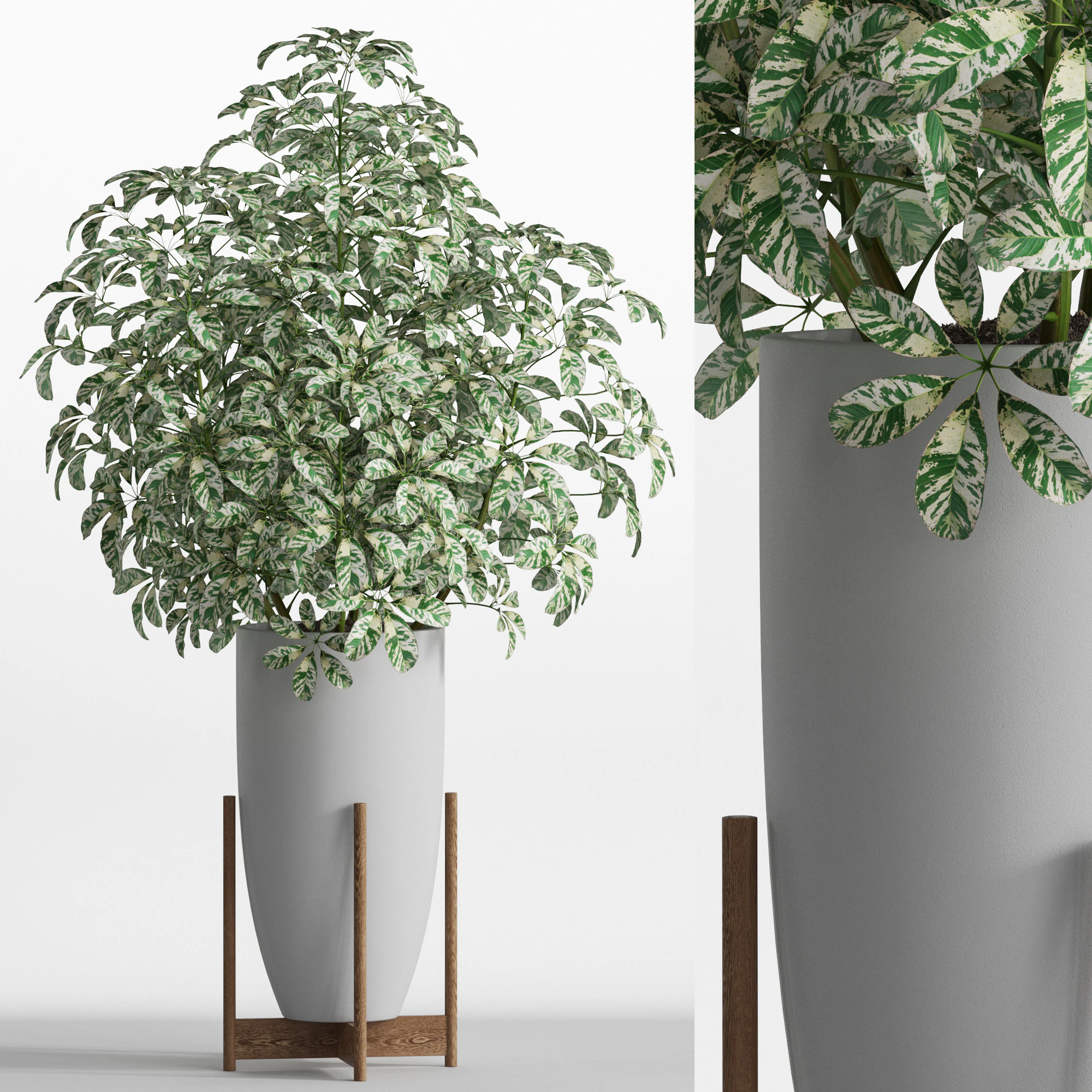 Plants collection 761 3D Model .c4d .max .obj .3ds .fbx .stl .blend 