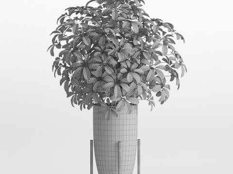Plants collection 761 Modèle 3D