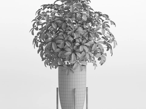 Plants collection 761 3D Model
