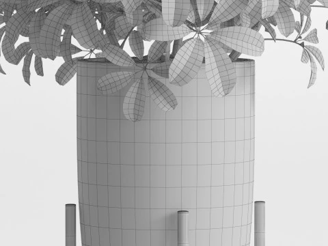 Plants collection 761 3D Model
