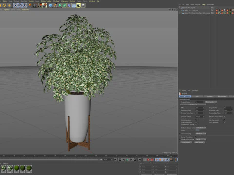 Plants collection 761 3D Model