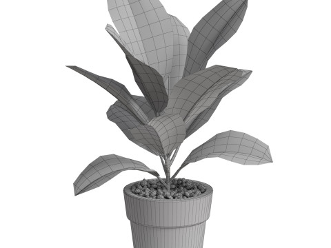 Plants collection 762 3Dモデル