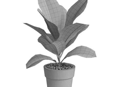 Plants collection 762 3D Model