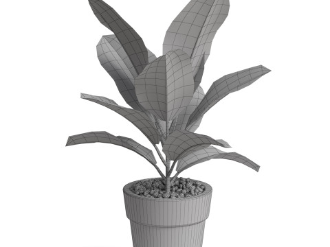 Plants collection 762 3Dモデル