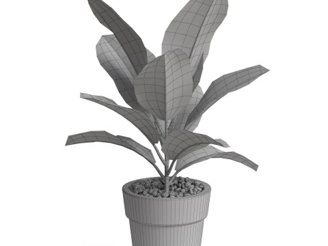 Plants collection 762 3D Model