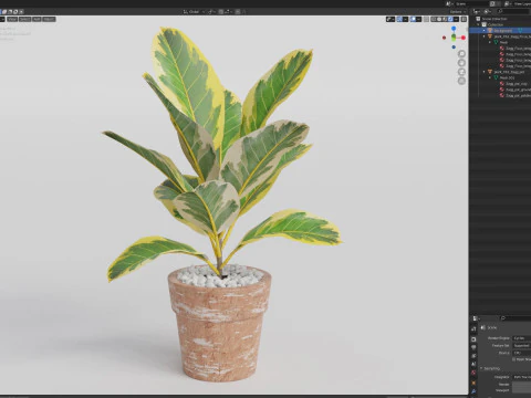 Plants collection 762 3D Model