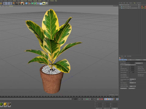 Plants collection 762 3D Model